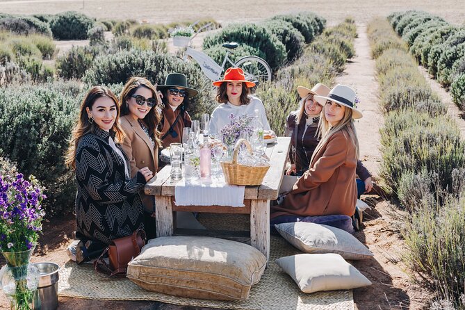 Private Picnic and Tasting in a Lavender Field - What happens at Aires de Lavanda