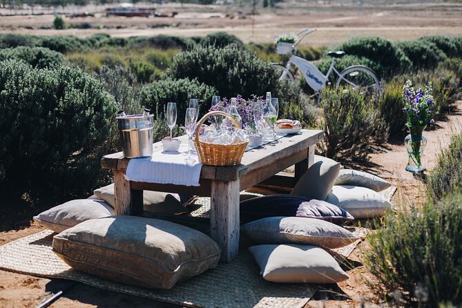 Private Picnic and Tasting in a Lavender Field - Who will enjoy this most?