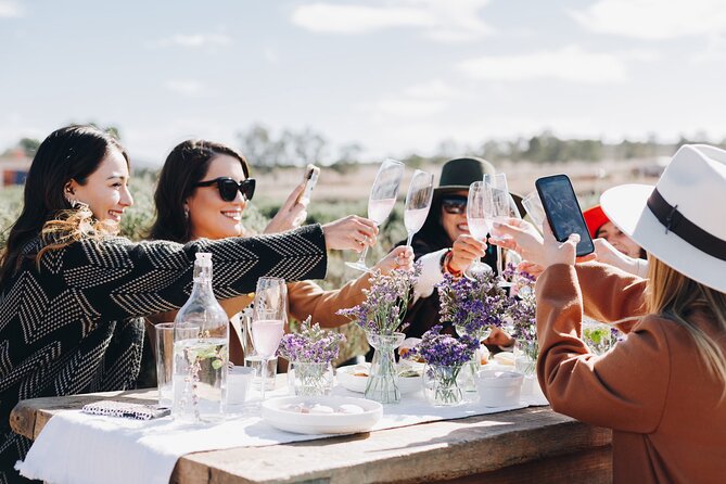 Private Picnic and Tasting in a Lavender Field - The short field tour and plant talk