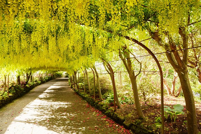 Private Snowdonia, Bodnant Gardens & Castles Tour - Eryri arrives through one of the best drives