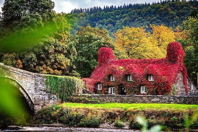 Private Snowdonia, Bodnant Gardens & Castles Tour - Great Orme begins with a dramatic road