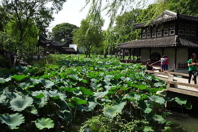 Private Suzhou Day Tour from Shanghai to Classical Gardens and Tongli Water Town - Who should book this Suzhou day trip?