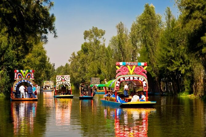 Private Tequila Craft Beer Tasting - Mexico City Floating Gardens - Why Xochimilco Makes This Tasting Different