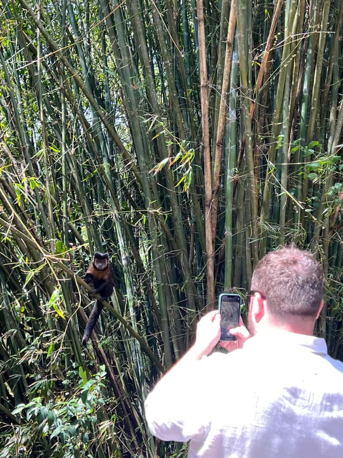 Private Tijuca Forest & Botanical Garden Guided Tour - Practical preparation for the five-hour outing