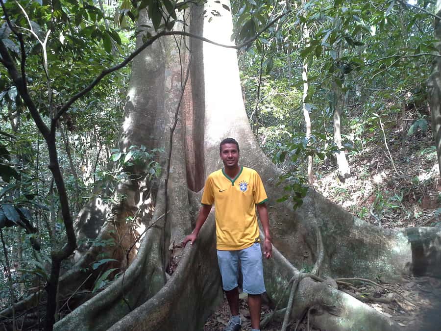 Private Tijuca Forest & Botanical Garden Guided Tour - Why this tour makes sense in Rio