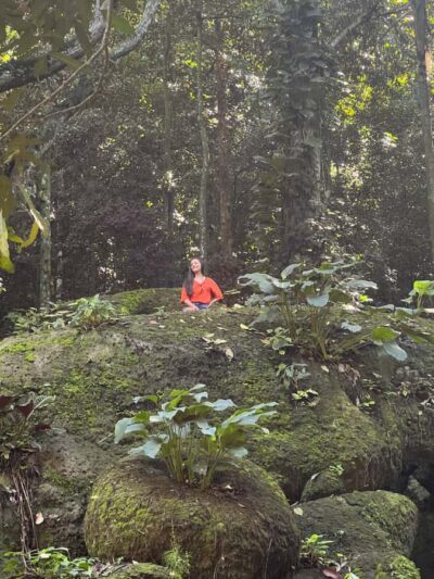 Private Tijuca Forest & Botanical Garden Guided Tour