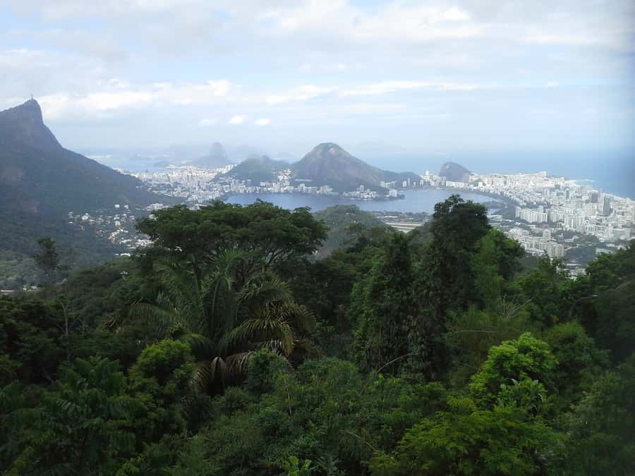 Private Tijuca Forest & Botanical Garden Guided Tour - Cascatinha Taunay and the rhythm of the forest