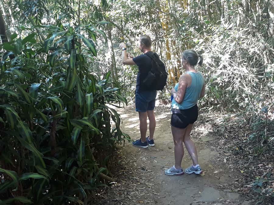 Private Tijuca Forest & Botanical Garden Guided Tour - Finishing among palms and orchids at the Botanical Garden