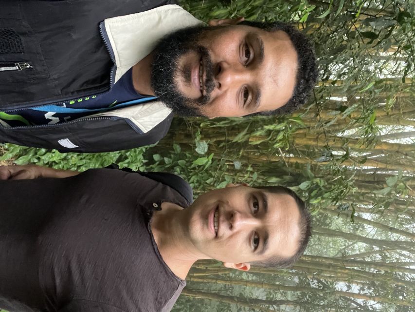 Private Tijuca Forest & Botanical Garden Guided Tour - What the private format adds
