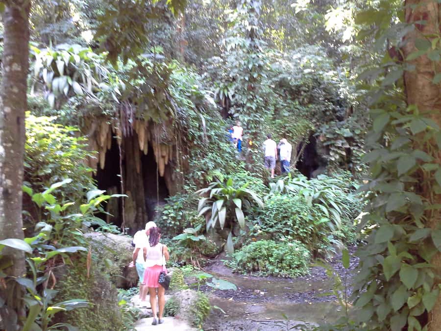 Private Tijuca Forest & Botanical Garden Guided Tour - Who will get the most from this experience