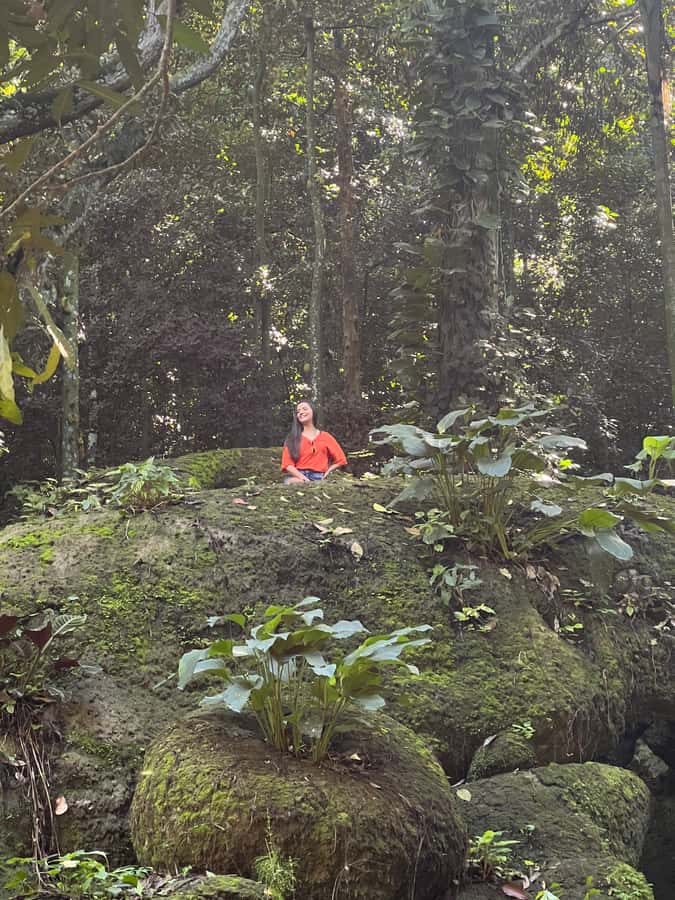 Private Tijuca Forest & Botanical Garden Guided Tour - Starting above Rio at the Chinese Viewpoint