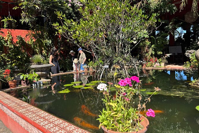 Private Tour: Botanical Garden & Petroglyphs - Reading the ancient petroglyphs