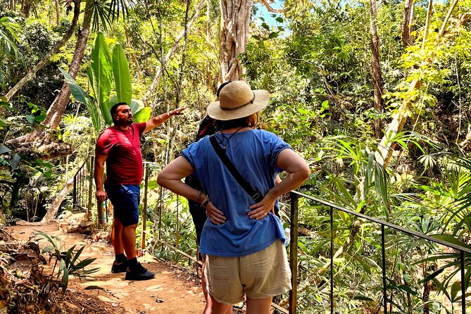 Private Tour: Botanical Garden & Petroglyphs - Lunch at a countryside restaurant