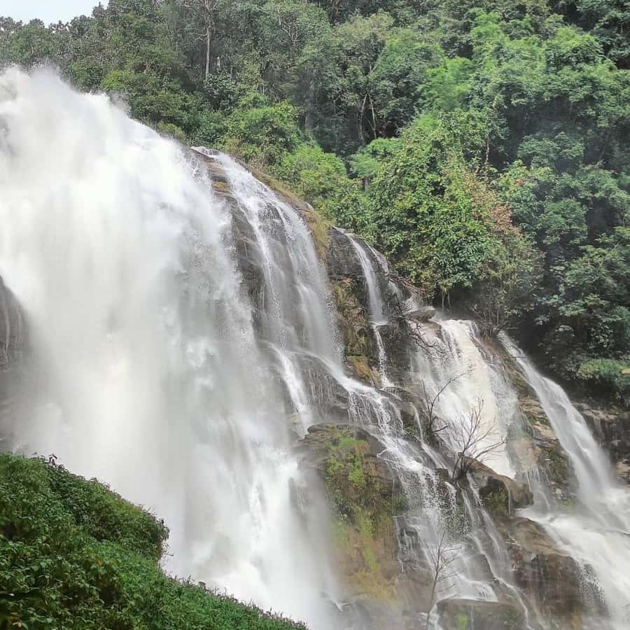 Private Tour Doi Inthanon, Trekking Kew Mae Pan Nature Trail - Key points at a glance