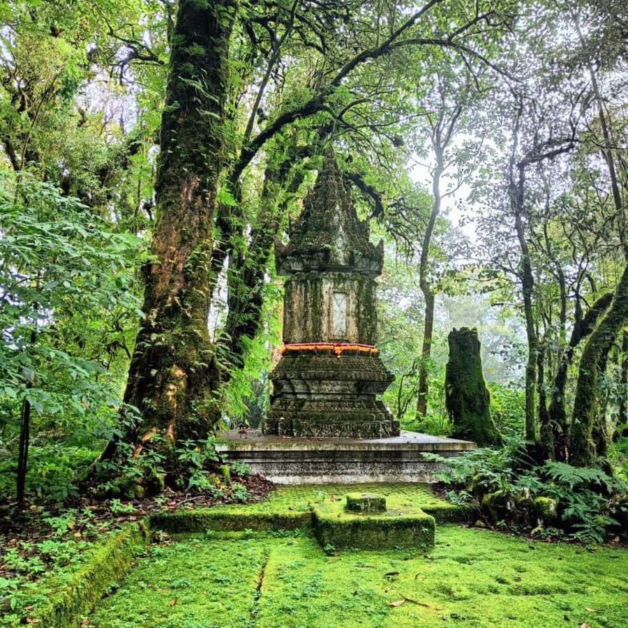 Private Tour Doi Inthanon, Trekking Kew Mae Pan Nature Trail - What the $141 price includes