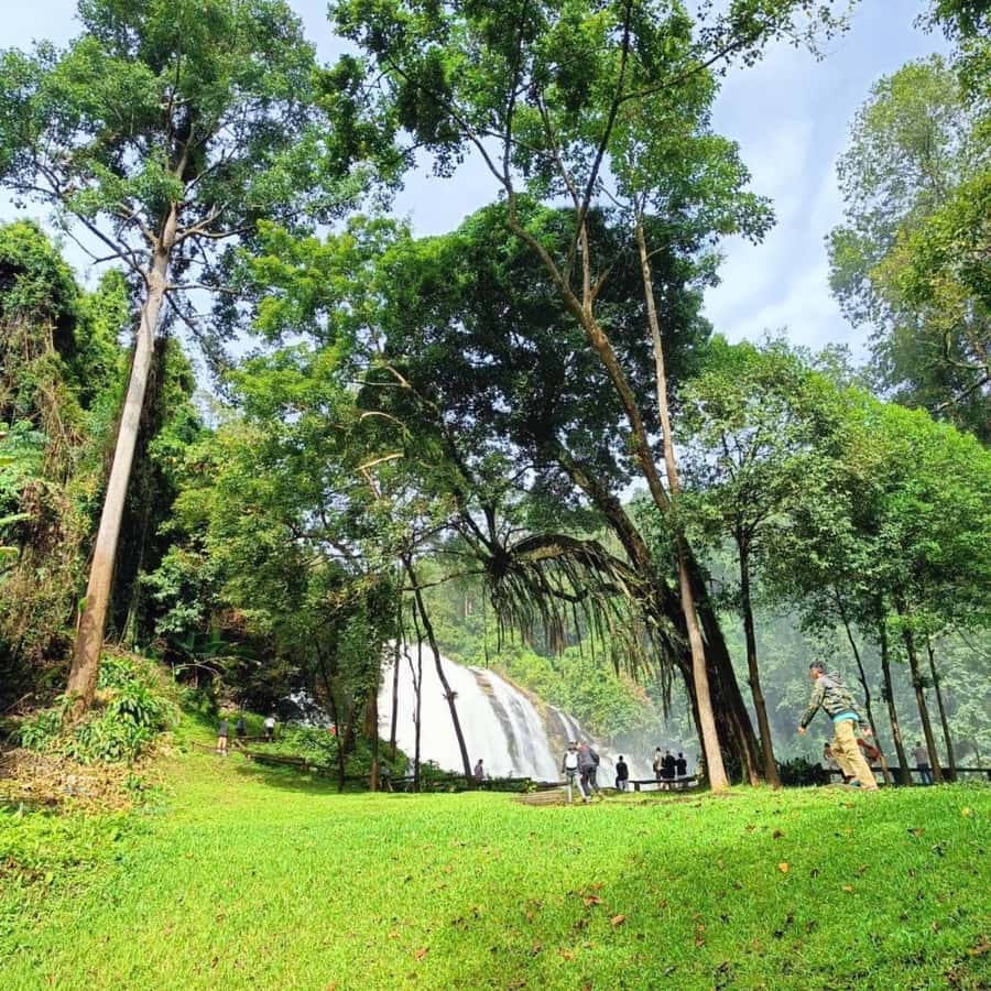 Private Tour Doi Inthanon, Trekking Kew Mae Pan Nature Trail - The King and Queen pagodas