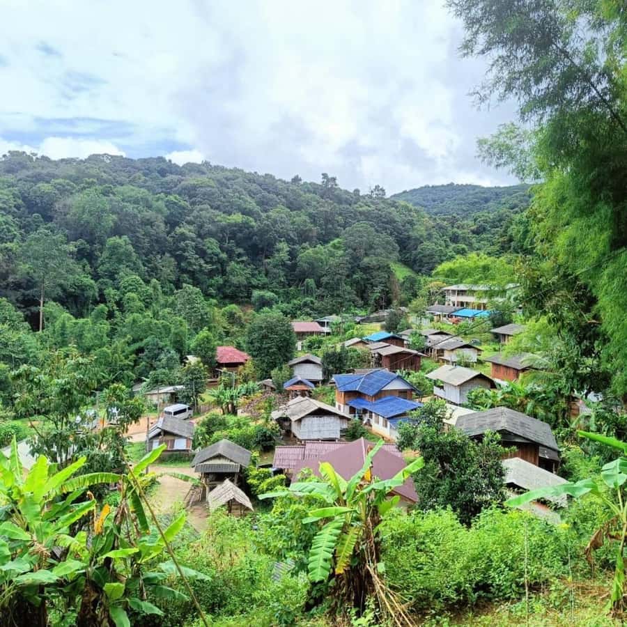 Private Tour Doi Inthanon, Trekking Kew Mae Pan Nature Trail - A brief stop at the Hmong Market