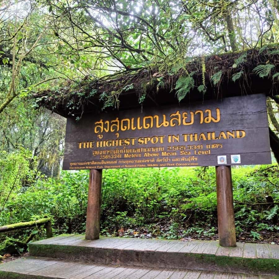 Private Tour Doi Inthanon, Trekking Kew Mae Pan Nature Trail - Reaching Thailand’s highest point