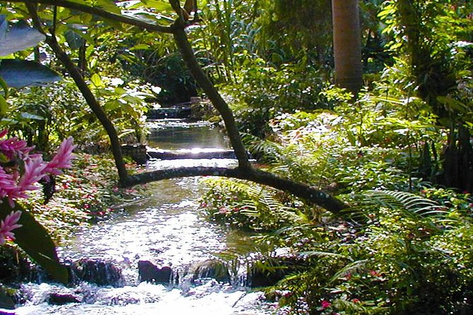 Private Tour From Ocho Rios To Konoko Falls And Garden and Shopping - Key points at a glance