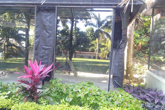 Private Tour From Ocho Rios To Konoko Falls And Garden and Shopping - Lunch is included in the plan, not the price