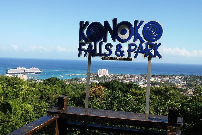 Private Tour From Ocho Rios To Konoko Falls And Garden and Shopping - Transport, group size, and the confusing admission note