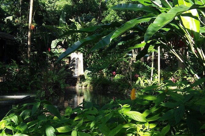 Private Tour From Ocho Rios To Konoko Falls And Garden and Shopping - How the guide affects the experience