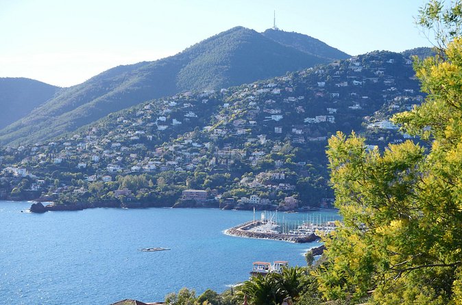 Private Tour from Saint-Tropez to the flowers city - Bormes-les-Mimosas gets the grand finale