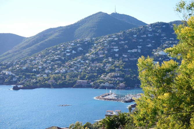 Private Tour from Saint-Tropez to the flowers city - What the private guide adds