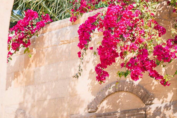 Private Tour from Saint-Tropez to the flowers city - Timing, pickup, and meals