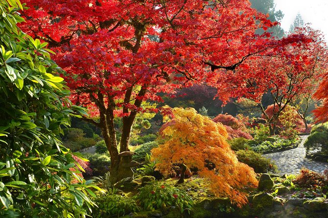 Private Tour: Gardens of Vancouver - Pickup, vehicle, and practical comfort