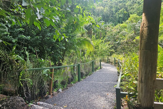 Private Tour: Hot spings & Sleeping Giant Garden hiking Adventure - The guide can make or break the garden