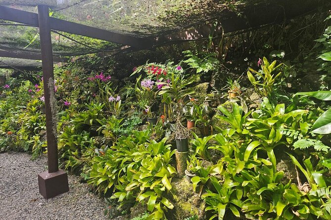 Private Tour: Hot spings & Sleeping Giant Garden hiking Adventure - What to pack for this four-hour outing