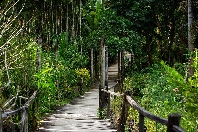 Private Tour: Hot spings & Sleeping Giant Garden hiking Adventure - Sabeto Hot Springs and Mud Pool: Fiji’s messy first act