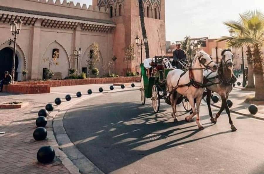 Private Tour: Jardin Secret and Hidden Gems of Marrakech - A three-hour look at Marrakech’s old quarter