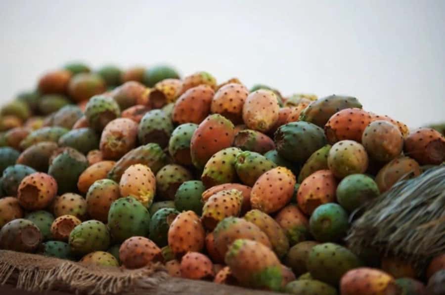 Private Tour: Jardin Secret and Hidden Gems of Marrakech - Souk Semmarine and Souk Laksour