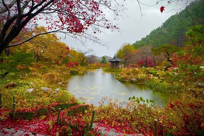[Private Tour] Nami Island+Morning calm Garden+Petite France - Who will get the most value