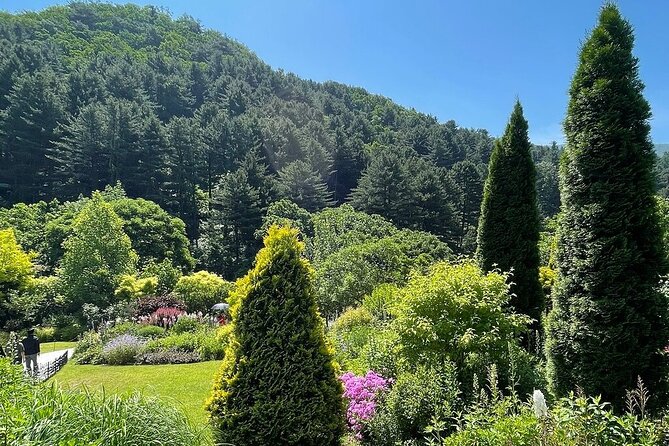 [Private Tour] Nami Island+Morning calm Garden+Petite France - Is this private tour worth booking?