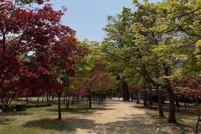[Private Tour] Nami Island+Morning calm Garden+Petite France - Nami Island and the short ferry crossing