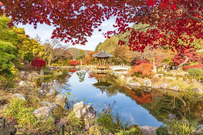 (Private tour) Nami Island + Railbike + Garden of morning calm - Nami Island, a forest walk with room to wander