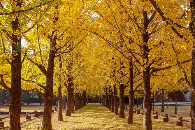 (Private tour) Nami Island + Railbike + Garden of morning calm - Lunch is your responsibility, but that can help