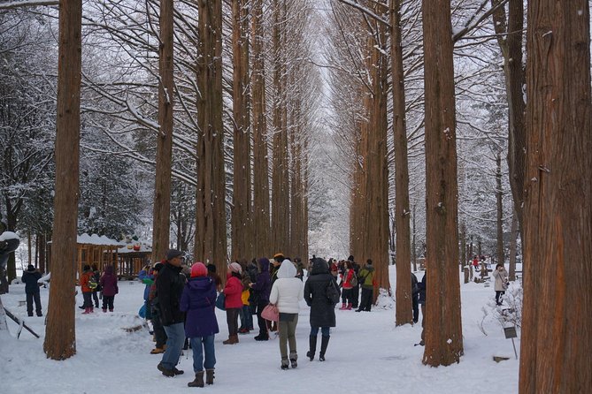 Private Tour Nami Island with Petite France 'and/or' The Garden of Morning Calm - Nami Island: the main reason to go
