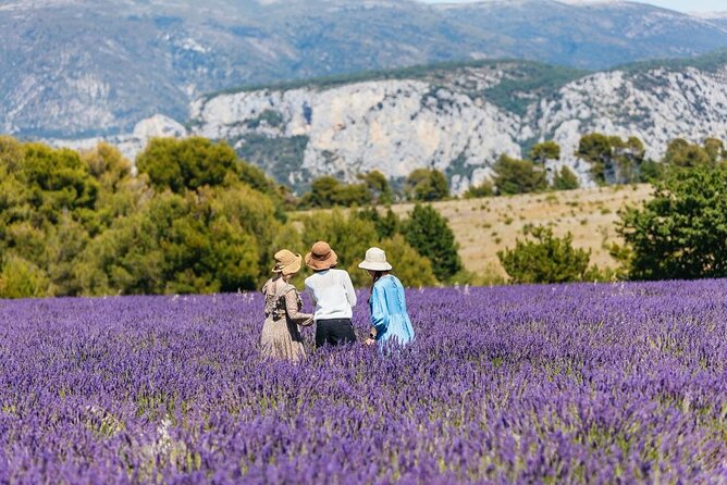 Private Tour of Gorges of Verdon and Fields of Lavender in Nice - Is $662.26 a fair price?
