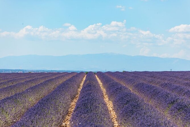 Private Tour of Gorges of Verdon and Fields of Lavender in Nice - Moustiers-Sainte-Marie, pottery, and free time