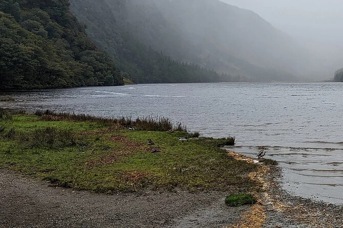 Private Tour of Wicklow, Glendalough & Powerscourt Gardens - Key points at a glance
