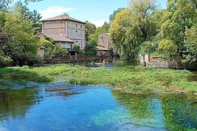 Private Tour Perched Villages of Luberon & (LAVENDER JUNE/JULY) - The private van makes the long day easier