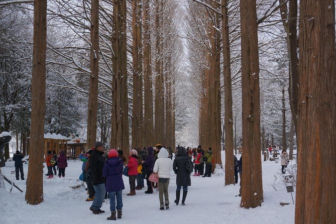 Private Tour Rail Bike & Nami Island & (Petite France or Garden of Morning Calm) - Nami Island gives you the biggest block of free time