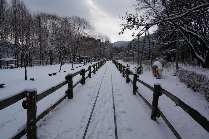 Private Tour Rail Bike & Nami Island & (Petite France or Garden of Morning Calm) - Who will get the most from this tour?