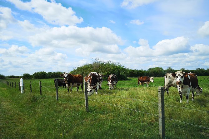 Private Tour: Rouen and Giverny Day Trip from Bayeux - Who should book this private Normandy day trip?