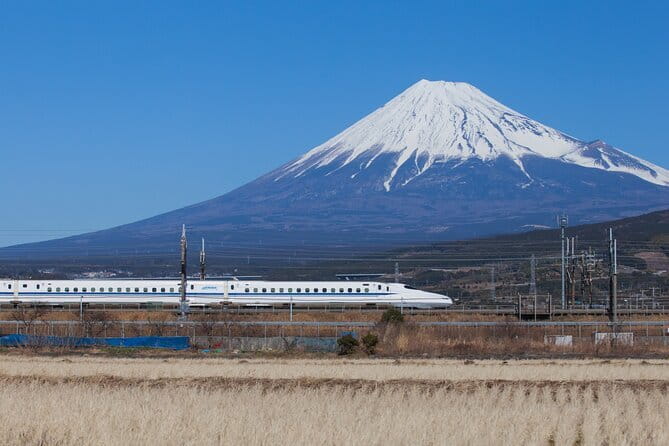 Private tour - Scenic Fuji Escape: Hakone, Peace Park & More - Cedar trees and sacred Fuji at Kitaguchi Hongu Fuji Sengen Shrine