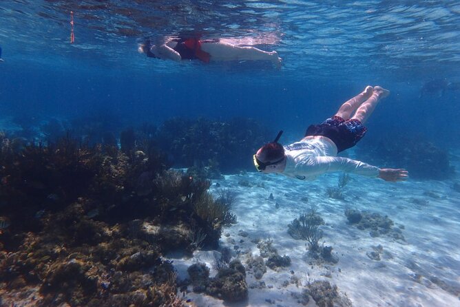 Private Tour to Stingray City & Snorkeling at Coral Gardens - Stingray City: close contact in shallow island water